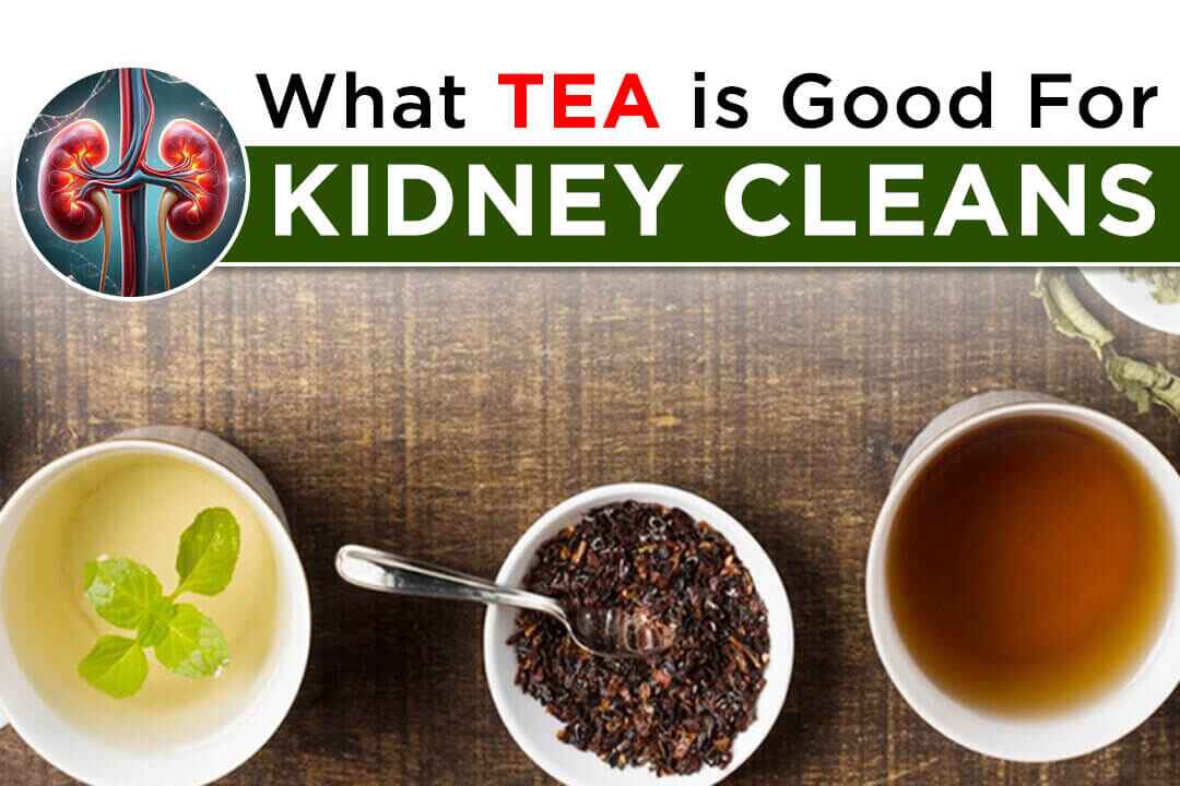 What Tea is Good For Kidney Cleanse?